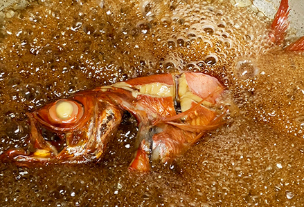 【地魚磯料理 うおまさ】まるごと一匹！外房釣り金目鯛の煮付け　１尾　[0016-0023]