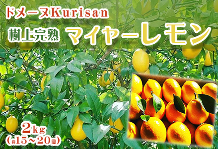 【数量限定】ドメーヌKurisanの『マイヤーレモン』２kg（約15～20個）　[0011-0031]