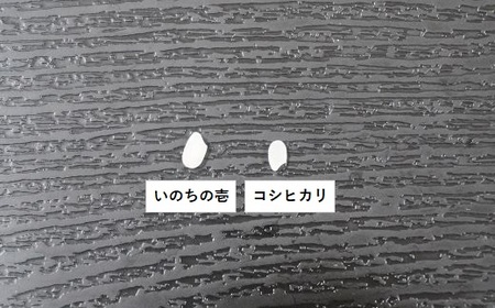 【令和6年産】嶺南ファームの嶺岡米「いのちの壱」 5kg　[0015-0047]