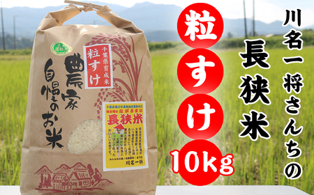 令和6年産】川名一将さんちの長狭米 長狭米『粒すけ』 10kg [0020-0087] | 千葉県鴨川市 | ふるさと納税サイト「ふるなび」