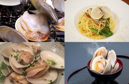 [日時指定必須]いずみや鮮魚店の活きハマグリ 1.5kg[0020-0074]