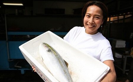 [日時指定必須][配送不可期間あり]ブリ丸ごと一本！(さばき方が選べます) [0050-0049]