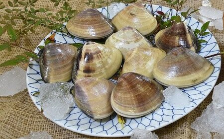 金目鯛しゃぶしゃぶ６人前・ハマグリ10個セット [0050-0050]