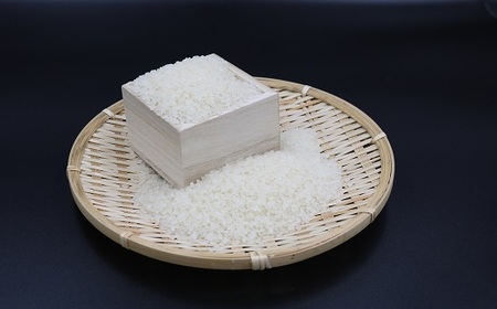 【定期便】【令和7年産】嶺南ファームの嶺岡米「コシヒカリ」5kg×6回 [0100-0077]