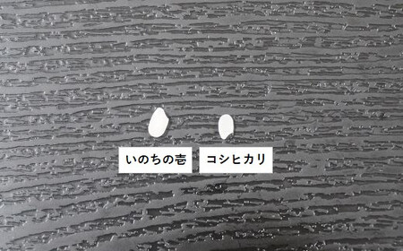 【定期便【令和5年産】】嶺南ファームの嶺岡米「いのちの壱」5kg×6カ月　[0090-0003]