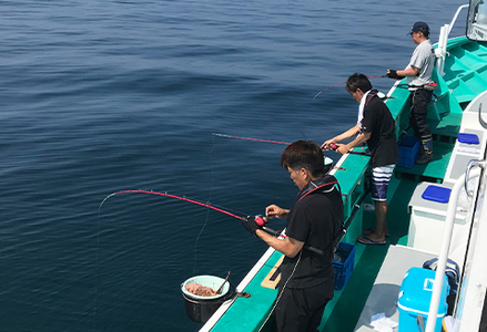 【貸切り】釣り船体験コース(平日限定6時間6名様まで) [0240-0001]