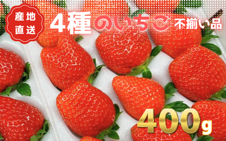 あま～い完熟いちご！【不揃い】400g