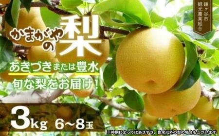 【2026年 先行予約】 かまがや梨 豊水 あきづきなど旬の梨をお届け 約3kg