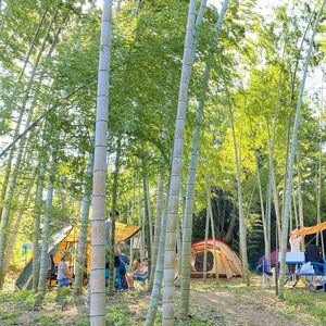 【 テント サウナ × キャンプ 1泊 】 利用券 ペア チケット 2名様 ｜ PGFLAND 千葉県 君津市 千葉 君津 きみつ