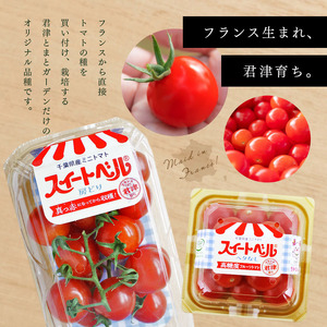 【定期便3回】高糖度 ミニトマト スイートベル （ ヘタなし ） 150g × 12P | 野菜 トマト ミニトマト プチトマト トマト 高糖度 トマト とまと 小分け 君津とまとガーデン 定期便 定期 3回 千葉 君津 きみつ