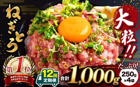 【 定期便 ・ 12ヶ月 】 清幸丸水産 大人気！ ねぎとろ 1000g | ネギトロ とろ 鮪 海鮮 魚介 魚 人気 小分け 人気 定番 ご飯 オススメ 千葉県 君津市 きみつ