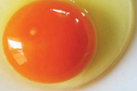 【6回定期便】きれいな水で育てた卵 赤たまご 青たまご 各10個 計20個