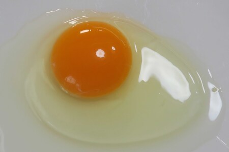 【6回定期便】きれいな水で育てた卵 赤たまご 青たまご 各10個 計20個