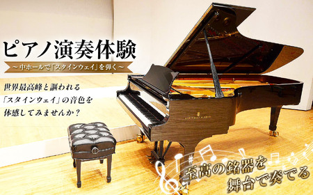 3時間ピアノ演奏体験　～中ホールで「スタインウェイ」を弾く～ | イベント チケット 体験チケット スタインウェイ Ｄ-274 グランドピアノ ピアノ  ぴあの 演奏 君津市民文化ホール 千葉県 君津市