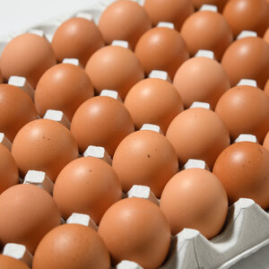 《全3回定期便》 新鮮 ★【 赤玉 30個 】君津市産 菜の花エッグ アスタキサンチン 