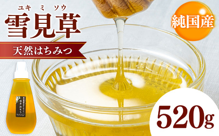 国産 雪見草はちみつ 520g | 養蜂家 齊藤兄弟 Bee concierge ビーコンシェルジュ 雪見草 ゆきみそう ユキミソウ 雪 はちみつ 蜂蜜 ハチミツ 国産蜂蜜 雪見草蜂蜜 新鮮 国産 千葉県 君津市 君津 きみつ