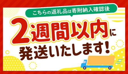 2週間以内に発送 千葉県産 焼き海苔 ≪ 特 ≫ 3帖 | 保存袋付き 簡易包装 30枚 吉田海苔 