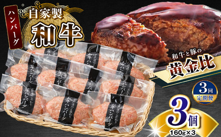 【定期便3回】自家製和牛ハンバーグ（生・冷凍個別真空）3個セット  | 牛肉 牛 肉 にく 和牛 かずさ和牛 国産 ハンバーグ 新鮮 オススメ 千葉県 君津市 きみつ