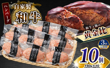 【定期便3回】自家製和牛ハンバーグ（生・冷凍個別真空）10個セット  | 牛肉 牛 肉 にく 和牛 かずさ和牛 国産 ハンバーグ 新鮮 オススメ 千葉県 君津市 きみつ 10,500円