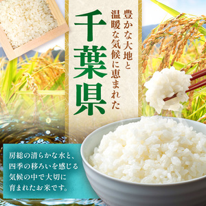 無洗米 令和7年産 千葉県産 コシヒカリ 20kg