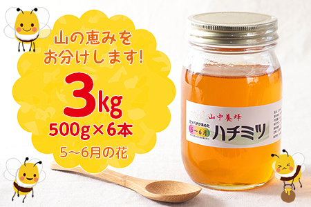 【自然のまま】富津産ハチミツ（5～6月の花）500g×6本 計3kg