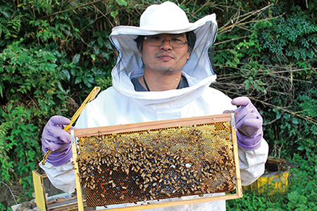 【自然のまま】富津産ハチミツ食べ比べ500g×6本 計3kg