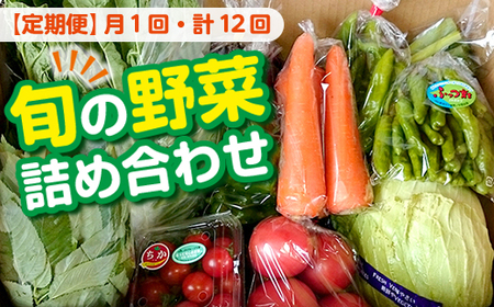 【定期便12ヶ月（2025年）】旬の野菜詰め合わせ