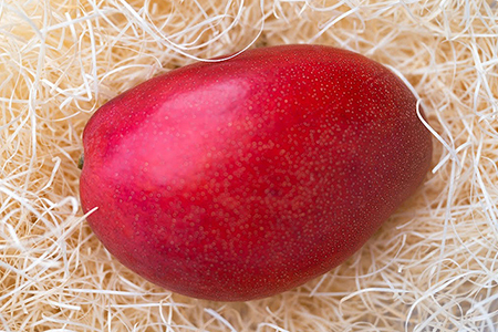 Alon Alon マンゴー（アーウィン）栽培期間中農薬不使用 1kg～1.5kg【6月中旬～7月下旬頃発送】