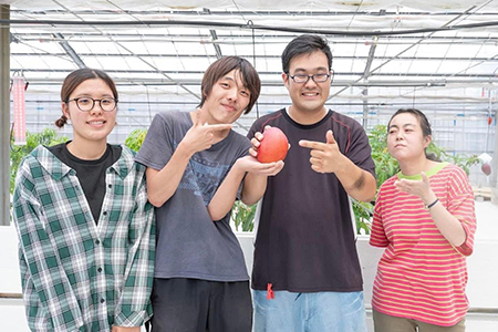 Alon Alon マンゴー（アーウィン）栽培期間中農薬不使用 1kg～1.5kg【6月中旬～7月下旬頃発送】