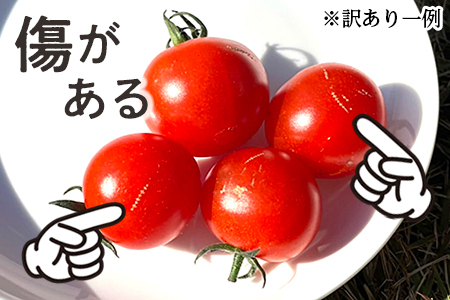 【訳あり】高糖度ミニトマト「宝玉丸」3kg【期間・数量限定】