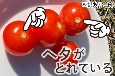 【訳あり】高糖度ミニトマト「宝玉丸」3kg【期間・数量限定】
