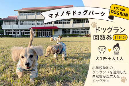マメノキドッグパーク　ドッグラン 回数券 11回分（犬1匹＋人1人）