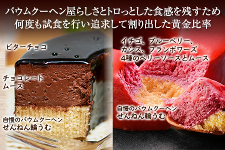 とろなまバウムクーヘン「とろなま2種セット（チョコ・4種のベリー）」 せんねんの木