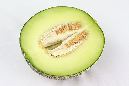 タカミメロン2玉（3kg以上）【6月中旬～7月中旬頃に発送】　本田農園