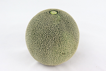 タカミメロン2玉（3kg以上）【6月中旬～7月中旬頃に発送】　本田農園