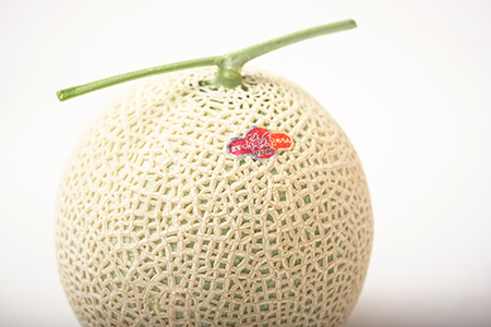 【通年栽培】純系マスクメロン2玉(化粧箱入)【4月発送分】
