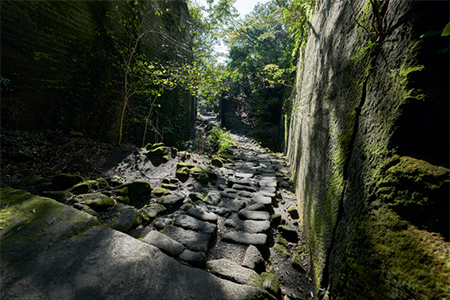 鋸山ガイド：まるで古代遺跡の世界「房州石石切の歴史と遺構」ツアー 1名様