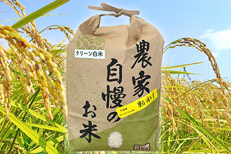 令和7年 千葉富津産「粒すけ」3kg(精米)