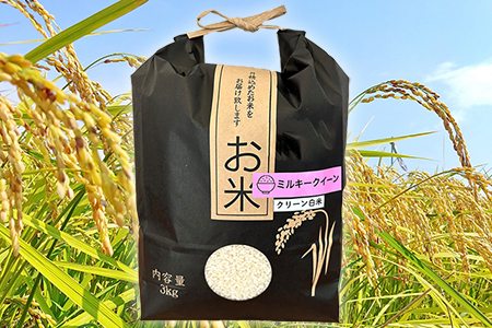 令和7年 千葉富津産「ミルキークイーン」3kg（精米）
