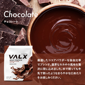 【7営業日以内発送】VALX ホエイプロテイン 3kg チョコレート風味 プロテイン チョコレート チョコ