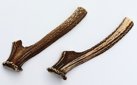 【犬のおもちゃ】シカの角 20cm×2本　中型犬～大型犬用
