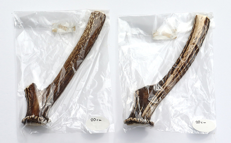 【犬のおもちゃ】シカの角 20cm×2本　中型犬～大型犬用