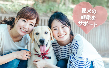 【犬のおもちゃ】シカの角 20cm×2本　中型犬～大型犬用