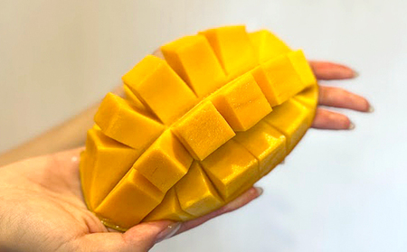 Alon Alon マンゴー（玉文）栽培期間中農薬不使用 1kg～1.5kg【6月中旬～7月下旬頃発送】