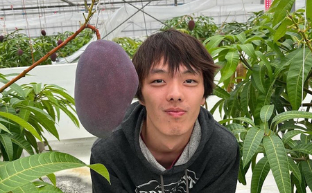 Alon Alon マンゴー（玉文）栽培期間中農薬不使用 1kg～1.5kg【6月中旬～7月下旬頃発送】