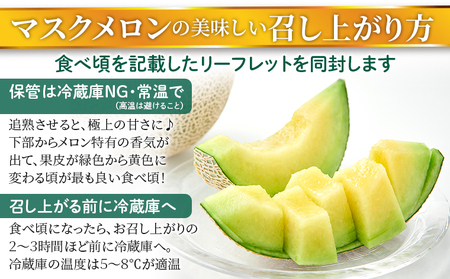 【通年栽培】純系マスクメロン1玉(化粧箱入)【2月発送分】