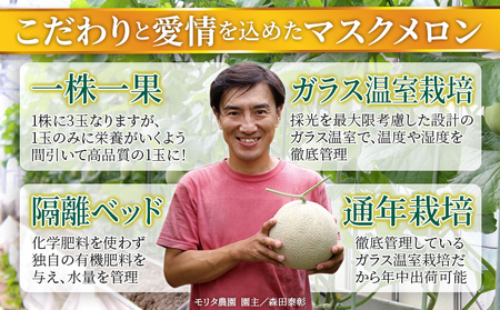 【通年栽培】純系マスクメロン1玉(化粧箱入)【2月発送分】