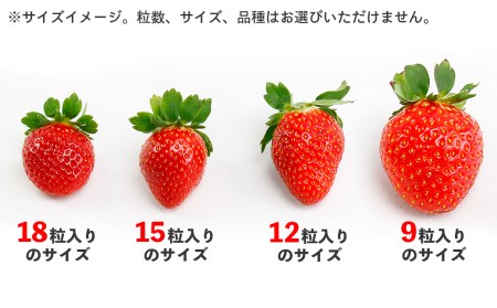 完熟・朝採りいちご400g×2箱（2品種以上／冷蔵） いちごやす農園【１月発送分】