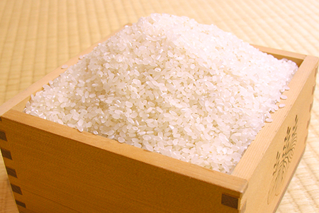 令和7年 千葉富津産「コシヒカリ」5kg（精米）　竹ノ内米店