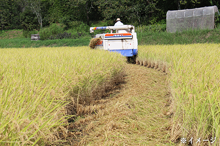 令和7年 千葉富津産「コシヒカリ」5kg（精米）　竹ノ内米店